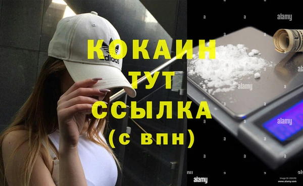 spice Заводоуковск