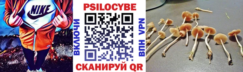 Псилоцибиновые грибы Magic Shrooms  Магадан 