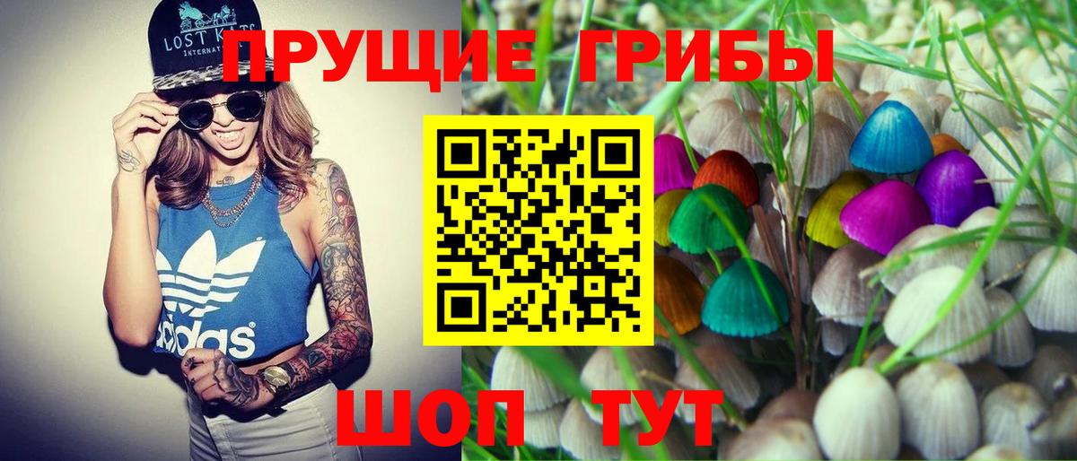 Псилоцибиновые грибы мухоморы Магадан