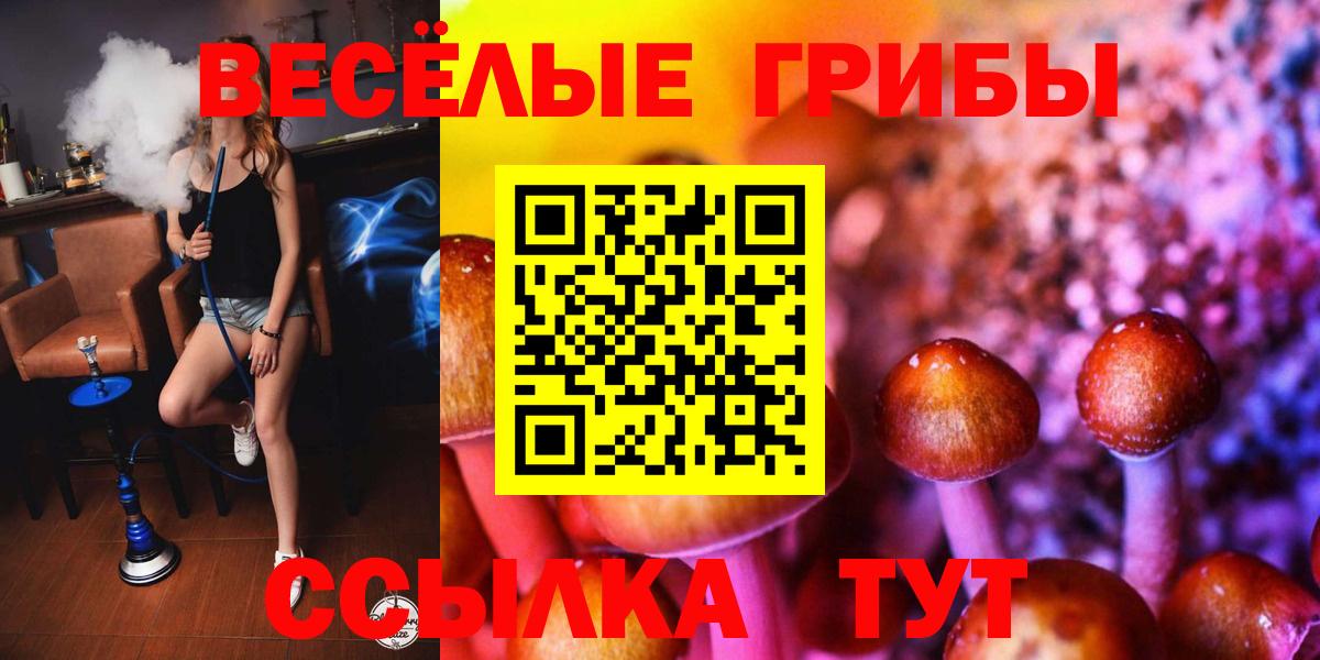 Магадан  Псилоцибиновые грибы Psilocybine cubensis  Вход с VPN  Псилоцибиновые грибы мицелий 